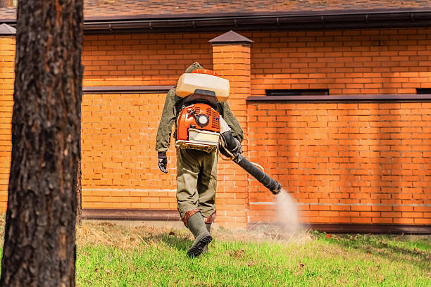Trusted Ant Control service in Wellsville, UT - Nex Pest Control